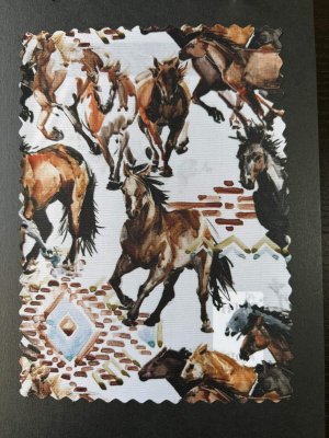 オプション裏地F