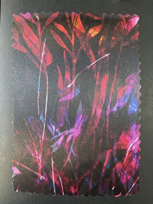 オプション裏地F